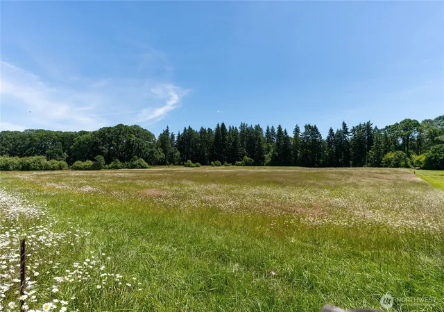 Photo 2 of Land for sale at 0 Spencer Rd, Toledo, WA 98591 | MLS# NWM2542910 | Listing updated on 2026-09-22