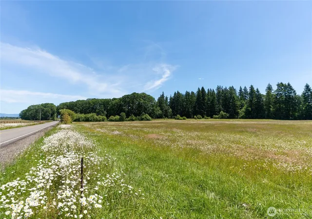 Photo 3 of Land for sale at 0 Spencer Rd, Toledo, WA 98591 | MLS# NWM2542910 | Listing updated on 2026-09-22