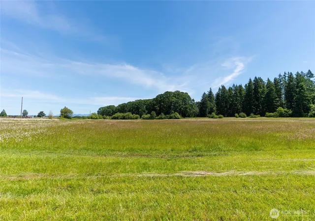 Photo 3 of Land for sale at 0 Spencer Rd, Toledo, WA 98591 | MLS# NWM2542910 | Listing updated on 2026-09-22