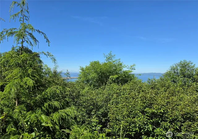 Photo 3 of Land for sale at 0 Xx Cottardi Hts Rd, Rosburg, WA 98643 | MLS# NWM2542927 | Listing updated on 2026-09-22