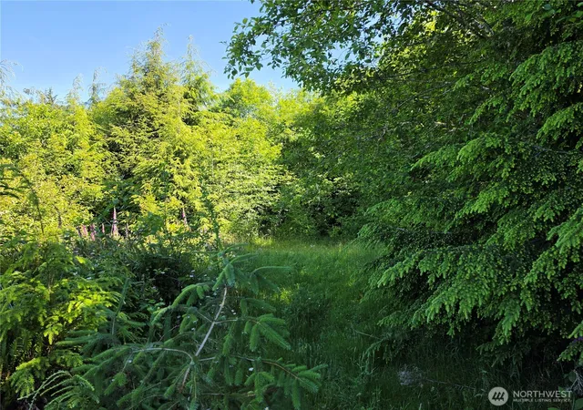 Photo 4 of Land for sale at 0 Xx Cottardi Hts Rd, Rosburg, WA 98643 | MLS# NWM2542927 | Listing updated on 2026-09-22