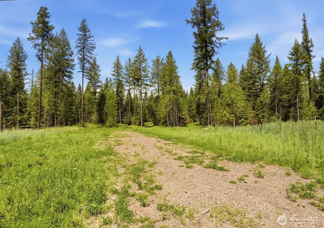 Photo 3 of Land for sale at (Undisclosed), Deer Park, WA 99006 | MLS# NWM2542963 | Listing updated on 2026-09-22