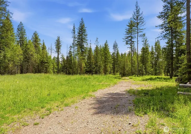Photo 3 of Land for sale at (Undisclosed), Deer Park, WA 99006 | MLS# NWM2542963 | Listing updated on 2026-09-22
