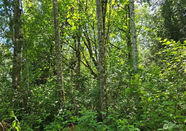 Photo 2 of Land for sale at 3628 Crk View Ct Se, Port Orchard, WA 98366 | MLS# NWM2542981 | Listing updated on 2026-09-22
