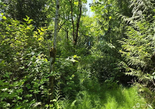 Photo 4 of Land for sale at 3628 Crk View Ct SE, Port Orchard, WA 98366 | MLS# NWM2542981 | Listing updated on 2026-09-22