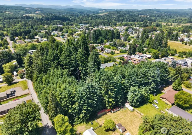 Photo 3 of Land for sale at 0 East St, Vader, WA 98593 | MLS# NWM2543008 | Listing updated on 2026-09-22