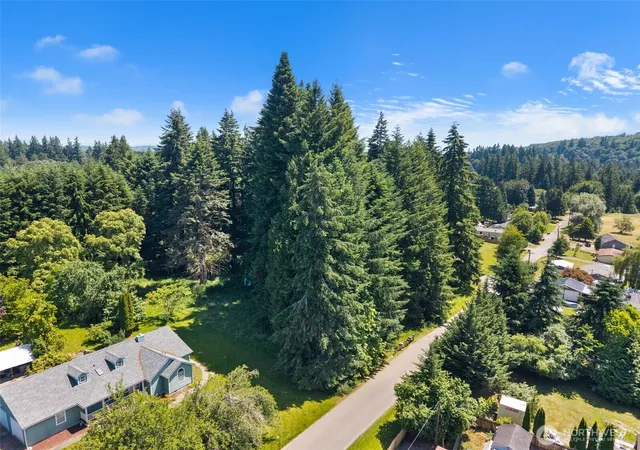 Photo 4 of Land for sale at 0 East St, Vader, WA 98593 | MLS# NWM2543008 | Listing updated on 2026-09-22