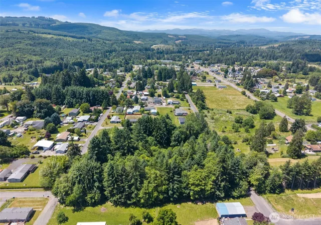 Photo 3 of Land for sale at 0 8th Street, Vader, WA 98593 | MLS# NWM2543009 | Listing updated on 2026-09-22
