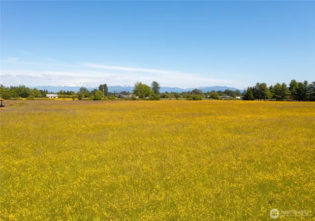 Photo 3 of Land for sale at 0 Elder Rd, Ferndale, WA 98248 | MLS# NWM2543072 | Listing updated on 2026-09-22