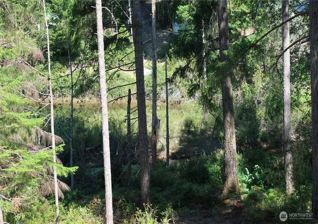Photo 1 of Land for sale at 431 Ne Collins Lake Dr, Tahuya, WA 98588 | MLS# NWM2543227 | Listing updated on 2026-09-22