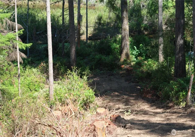 Photo 3 of Land for sale at 431 Ne Collins Lake Dr, Tahuya, WA 98588 | MLS# NWM2543227 | Listing updated on 2026-09-22