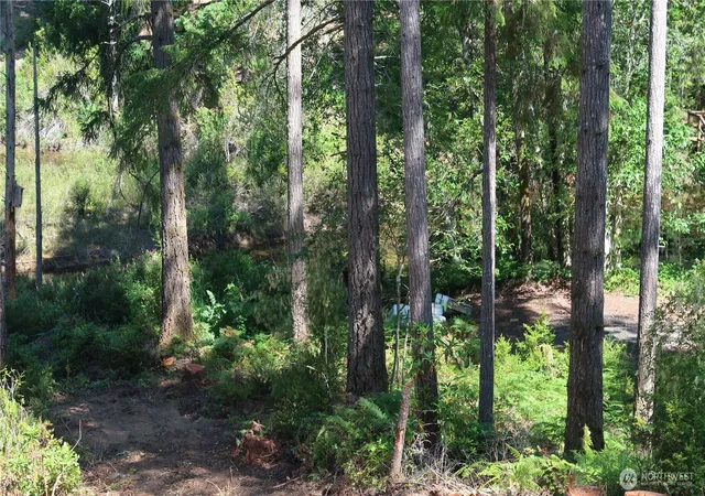 Photo 3 of Land for sale at 431 NE Collins Lake Dr, Tahuya, WA 98588 | MLS# NWM2543227 | Listing updated on 2026-09-22