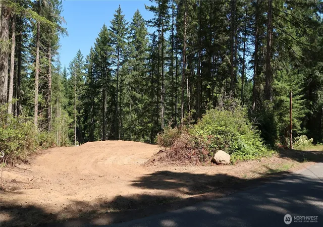 Photo 4 of Land for sale at 431 NE Collins Lake Dr, Tahuya, WA 98588 | MLS# NWM2543227 | Listing updated on 2026-09-22