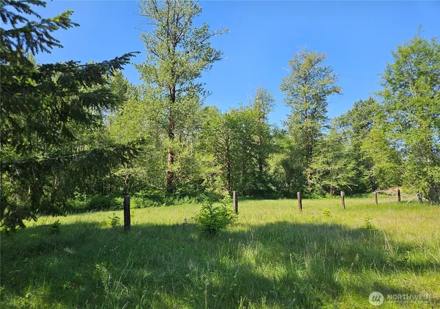 Photo 1 of Land for sale at 0 Park Jct Rd E, Elbe, WA 98330 | MLS# NWM2543434 | Listing updated on 2026-09-22
