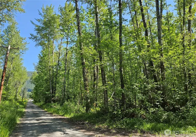 Photo 2 of Land for sale at 0 Park Jct Rd E, Elbe, WA 98330 | MLS# NWM2543434 | Listing updated on 2026-09-22