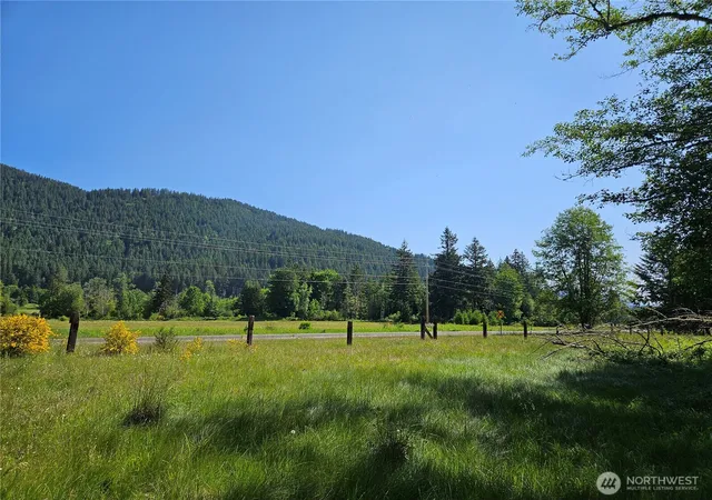 Photo 3 of Land for sale at 0 Park Jct Rd E, Elbe, WA 98330 | MLS# NWM2543434 | Listing updated on 2026-09-22