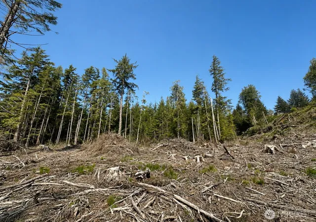 Photo 2 of Land for sale at 0 40th Street, Seaview, WA 98644 | MLS# NWM2543681 | Listing updated on 2026-09-22