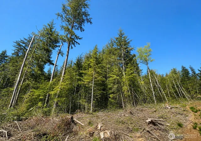 Photo 3 of Land for sale at 0 40th Street, Seaview, WA 98644 | MLS# NWM2543681 | Listing updated on 2026-09-22