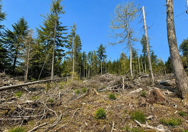 Photo 3 of Land for sale at 0 40th Street, Seaview, WA 98644 | MLS# NWM2543681 | Listing updated on 2026-09-22