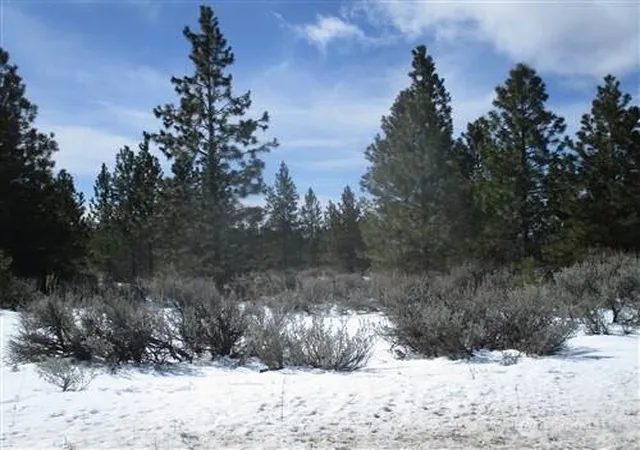 Photo 1 of Land for sale at 6 Xx Chipmunk Trl, Waterville, WA 98858 | MLS# NWM2543703 | Listing updated on 2026-09-22