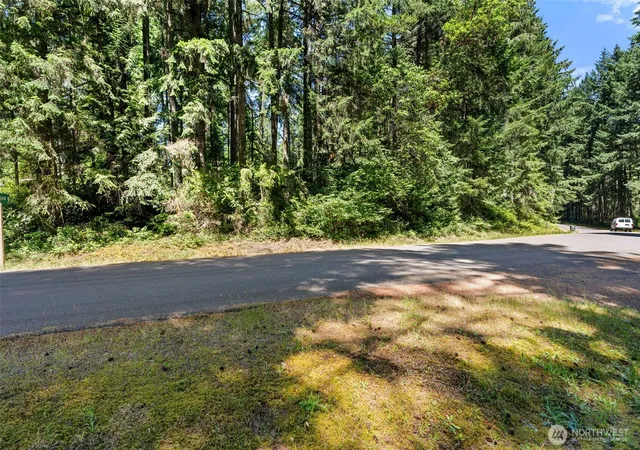 Photo 2 of Land for sale at 11103 Leschi Cir, Anderson Island, WA 98303 | MLS# NWM2543734 | Listing updated on 2026-09-22