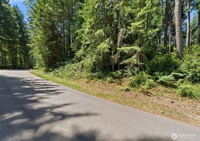 Photo 3 of Land for sale at 11103 Leschi Cir, Anderson Island, WA 98303 | MLS# NWM2543734 | Listing updated on 2026-09-22