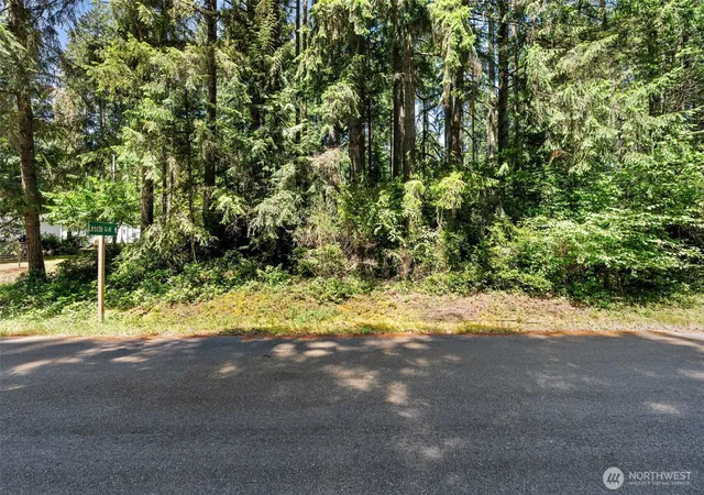 Photo 4 of Land for sale at 11103 Leschi Cir, Anderson Island, WA 98303 | MLS# NWM2543734 | Listing updated on 2026-09-22