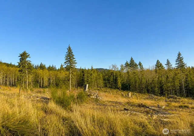 Photo 2 of Land for sale at 0 B 1000 Rd, Sequim, WA 98382 | MLS# NWM2543744 | Listing updated on 2026-09-22