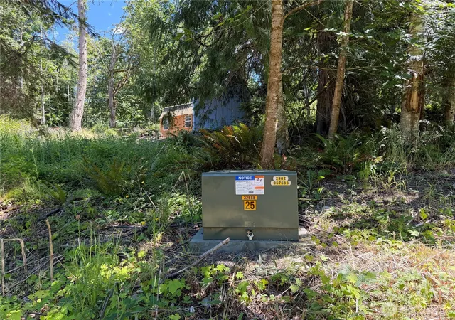 Photo 3 of Land for sale at 1183 Blyn Springs Rd, Sequim, WA 98382 | MLS# NWM2543804 | Listing updated on 2026-09-22