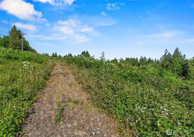 Photo 3 of Land for sale at 1015 Lone Oak Rd, Longview, WA 98632 | MLS# NWM2543861 | Listing updated on 2026-09-22