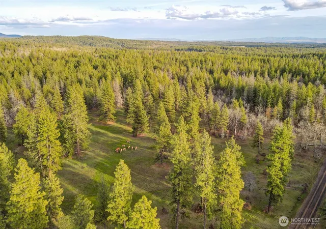 Photo 1 of Land for sale at 0 Lot 15 Greyback Mt Rd, Goldendale, WA 98620 | MLS# NWM2543883 | Listing updated on 2026-09-22