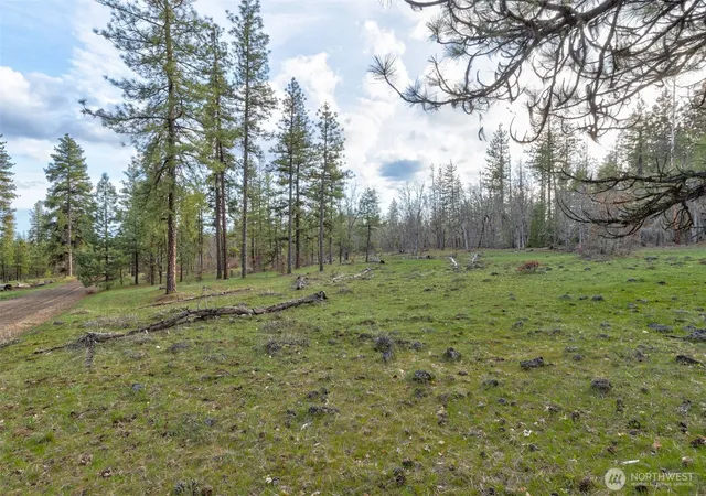 Photo 3 of Land for sale at 0 Lot 15 Greyback Mt Rd, Goldendale, WA 98620 | MLS# NWM2543883 | Listing updated on 2026-09-22