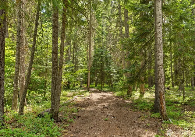 Photo 3 of Single family home for sale at 800 Timber Mountain Loop, Cle Elum, WA 98922 | MLS# NWM2543945 | Listing updated on 2026-09-24