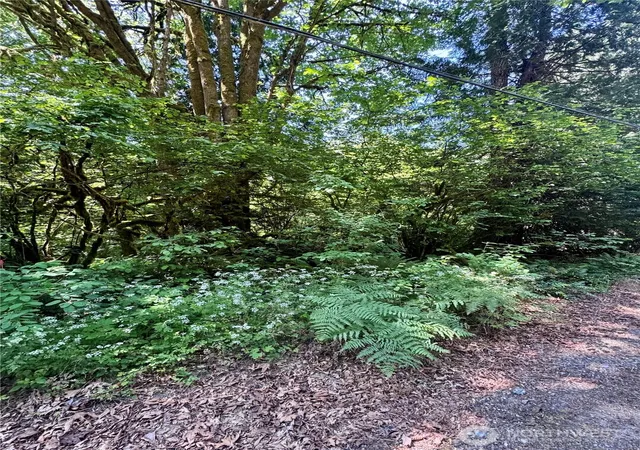Photo 1 of Land for sale at 12014 126th Avenue Nw, Gig Harbor, WA 98329 | MLS# NWM2544132 | Listing updated on 2026-09-22