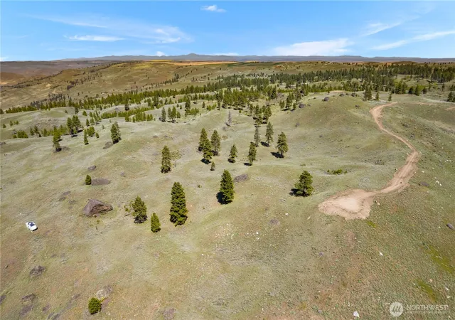 Photo 3 of Land for sale at 12 Columbia River Blfs Rd, Waterville, WA 98858 | MLS# NWM2544337 | Listing updated on 2026-09-24