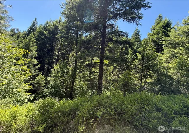 Photo 1 of Land for sale at 0 Tbd Toroda Crk Rd, Wauconda, WA 98859 | MLS# NWM2544420 | Listing updated on 2026-09-22