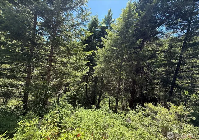 Photo 2 of Land for sale at 0 Tbd Toroda Crk Rd, Wauconda, WA 98859 | MLS# NWM2544420 | Listing updated on 2026-09-22