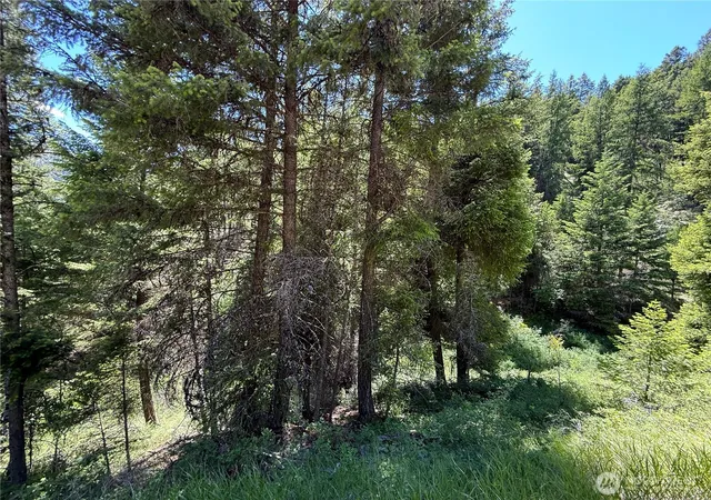 Photo 3 of Land for sale at 0 Tbd Toroda Crk Rd, Wauconda, WA 98859 | MLS# NWM2544420 | Listing updated on 2026-09-22