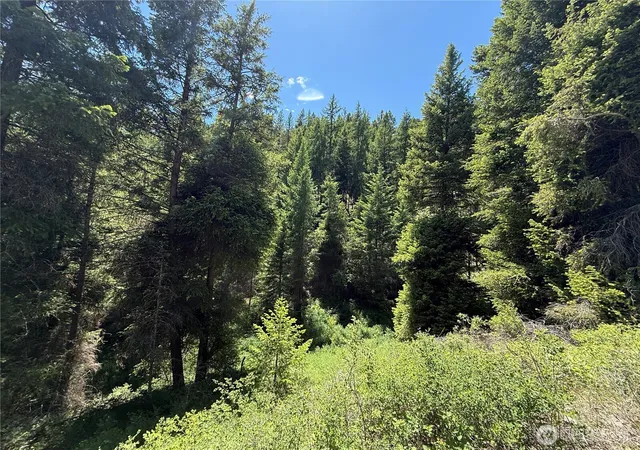 Photo 3 of Land for sale at 0 Tbd Toroda Crk Rd, Wauconda, WA 98859 | MLS# NWM2544420 | Listing updated on 2026-09-22