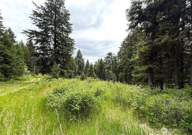 Photo 1 of Land for sale at 0 Pontiac Ridge Rd, Oroville, WA 98844 | MLS# NWM2545032 | Listing updated on 2026-09-22