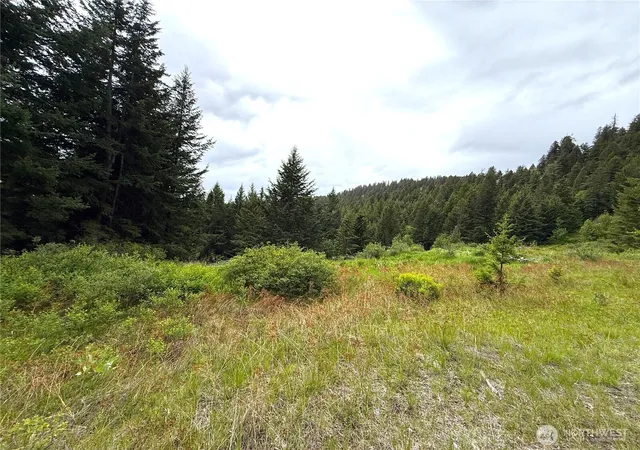 Photo 2 of Land for sale at 0 Pontiac Ridge Rd, Oroville, WA 98844 | MLS# NWM2545032 | Listing updated on 2026-09-22