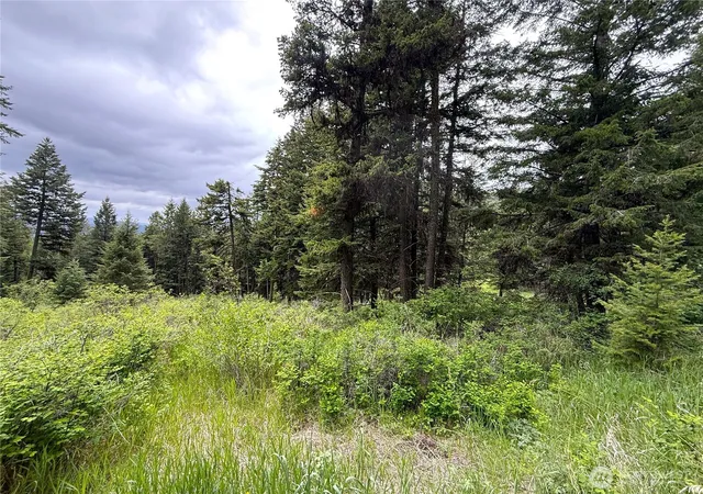 Photo 3 of Land for sale at 0 Pontiac Ridge Rd, Oroville, WA 98844 | MLS# NWM2545032 | Listing updated on 2026-09-22
