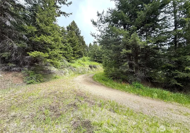 Photo 3 of Land for sale at 0 Pontiac Ridge Rd, Oroville, WA 98844 | MLS# NWM2545032 | Listing updated on 2026-09-22