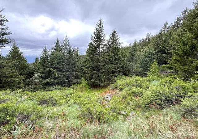 Photo 4 of Land for sale at 0 Pontiac Ridge Rd, Oroville, WA 98844 | MLS# NWM2545032 | Listing updated on 2026-09-22