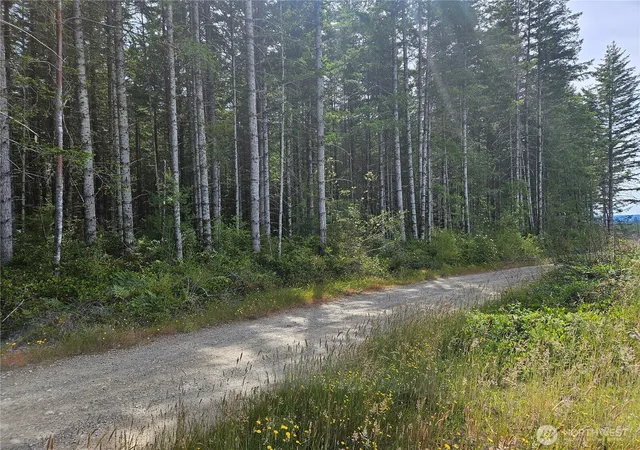 Photo 1 of Land for sale at 0 Nka L Lee Valley Rd, Quilcene, WA 98376 | MLS# NWM2545125 | Listing updated on 2026-09-22
