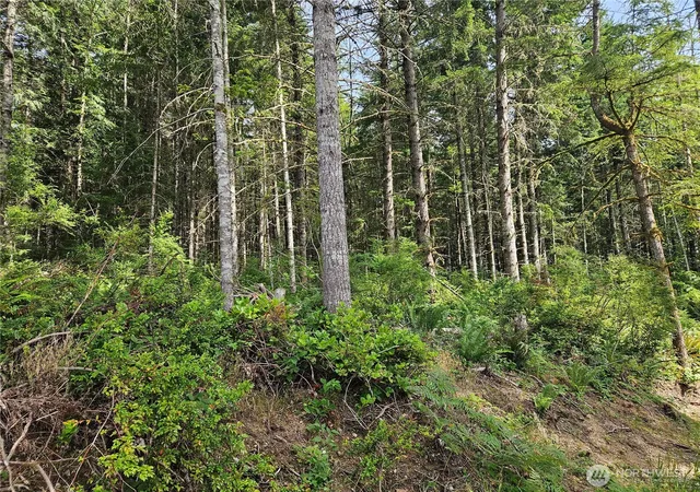 Photo 2 of Land for sale at 0 Nka L Lee Valley Rd, Quilcene, WA 98376 | MLS# NWM2545125 | Listing updated on 2026-09-22