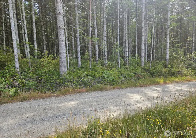 Photo 3 of Land for sale at 0 Nka L Lee Valley Rd, Quilcene, WA 98376 | MLS# NWM2545125 | Listing updated on 2026-09-22
