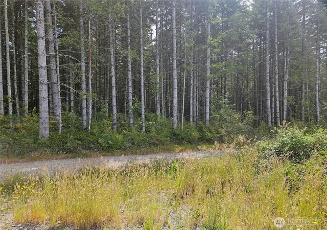Photo 3 of Land for sale at 0 Nka L Lee Valley Rd, Quilcene, WA 98376 | MLS# NWM2545125 | Listing updated on 2026-09-22