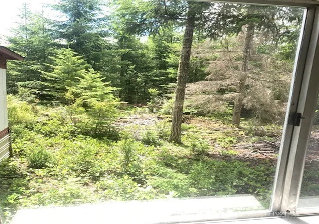 Photo 3 of Sale Pending at 50 N Quinault Pl, Hoodsport, WA 98548 | MLS# NWM2545232 | Listing updated on 2026-09-25