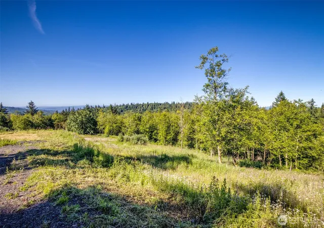 Photo 3 of Land for sale at 268 Walker Rd, Kelso, WA 98626 | MLS# NWM2545294 | Listing updated on 2026-09-22